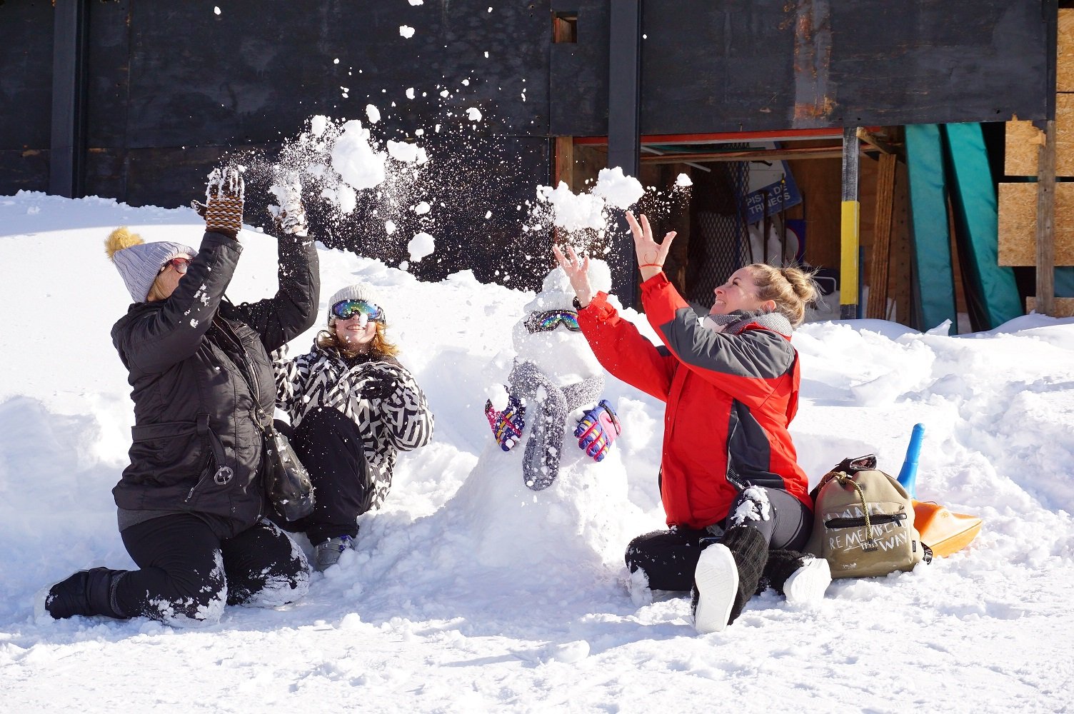 Grupo de amigos disfrutando la nieve y la montaña